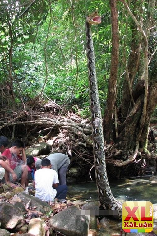 Cả làng mang trăn khủng ra mổ bụng và sốc khi lôi thứ này ra từ trong con quái vật