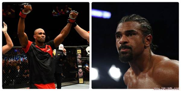 Haye muốn thượng đài với ‘thánh knock out’ của UFC