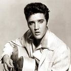 Love Me Tender (Viva Elvis)