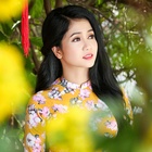 Phương Anh Bolero